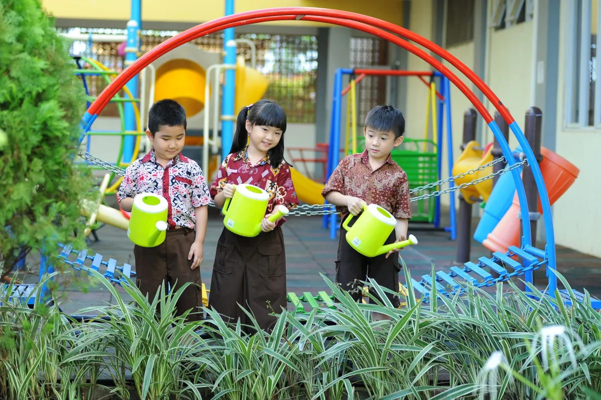 Trik Membangun Daycare Legal Dan Menguntungkan Bagi Pemula Di Kota Sukabumi - Wury Green Kids